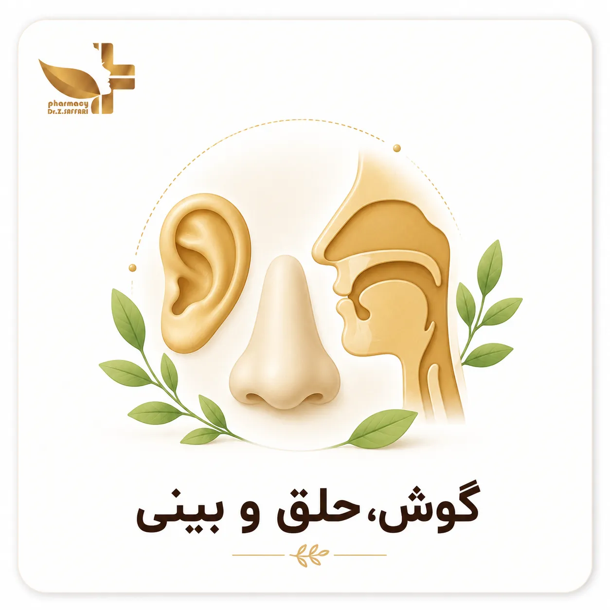 👃 گوش، حلق و بینی