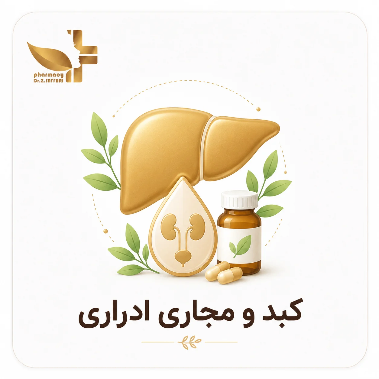 🌱 کبد و مجاری ادراری