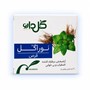 قرص نوراگل گل دارو ۳۰ عددی